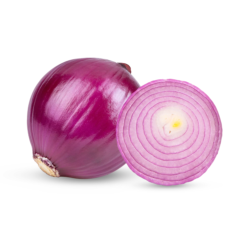 research on onion